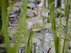 ani_IMG_1343_1.jpg