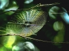 natlan_MG_9715.jpg